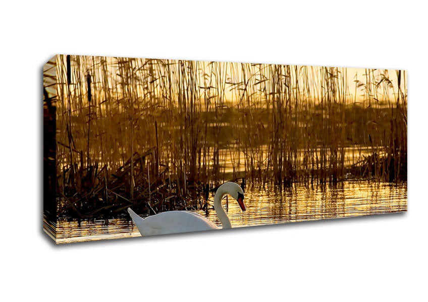 Picture of Swan Lake Panoramic Canvas Wall Art