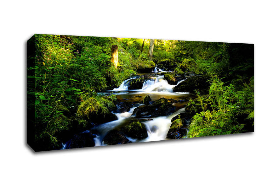 Picture of Black Forest In Germany Panoramic Canvas Wall Art