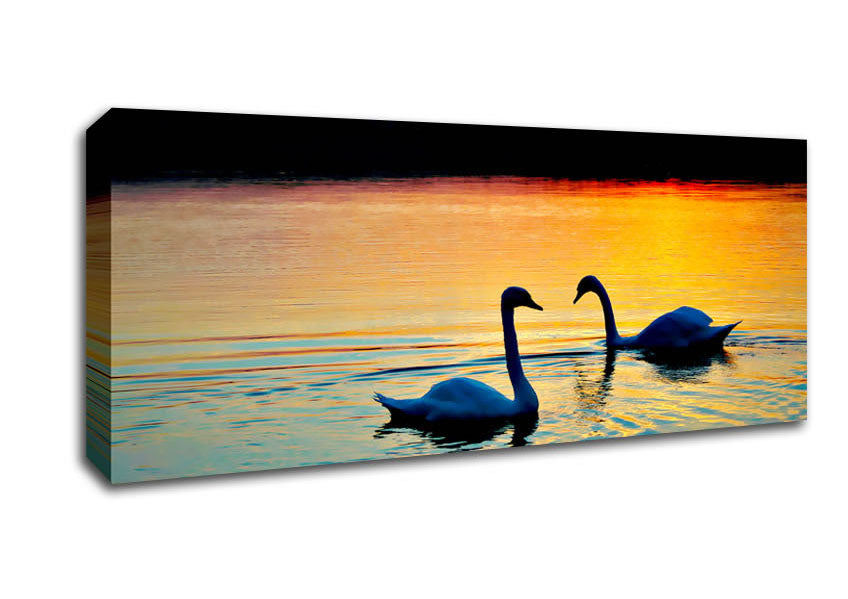 Picture of Lake Swans Panoramic Canvas Wall Art