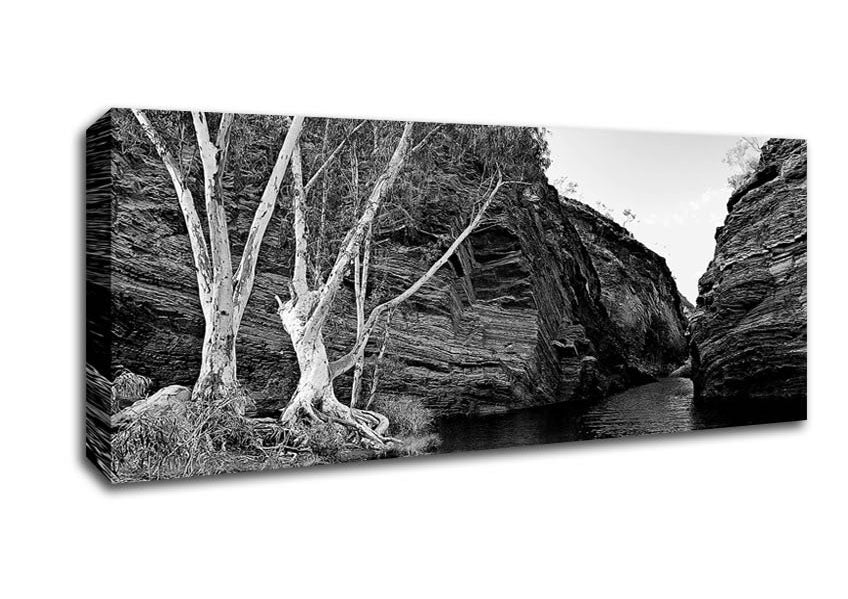 Picture of B n W Valley Still Waters Panoramic Canvas Wall Art