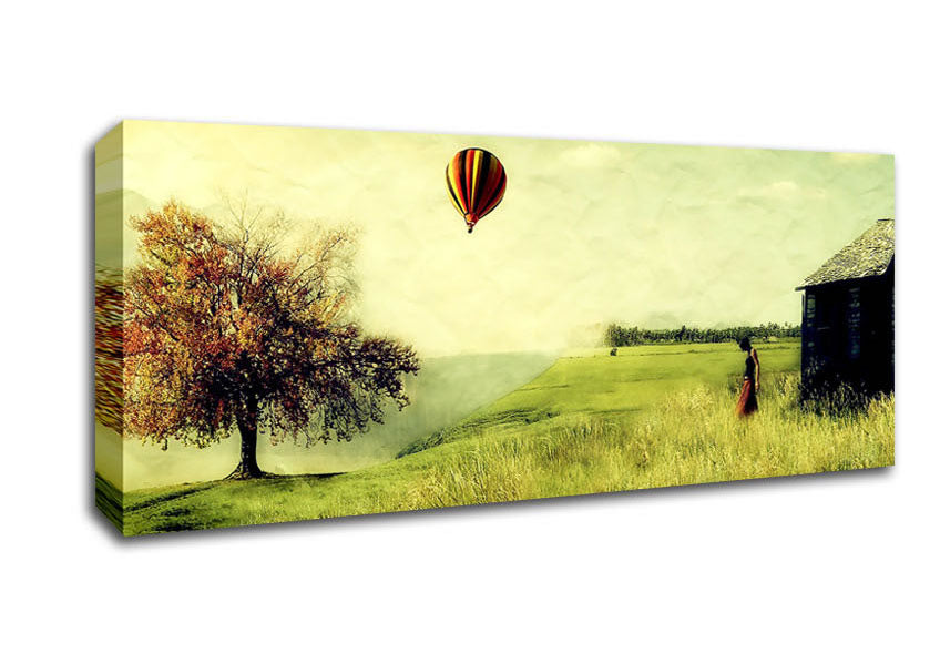 Picture of Hot Air Balloon Ride In The Countryside Panoramic Canvas Wall Art