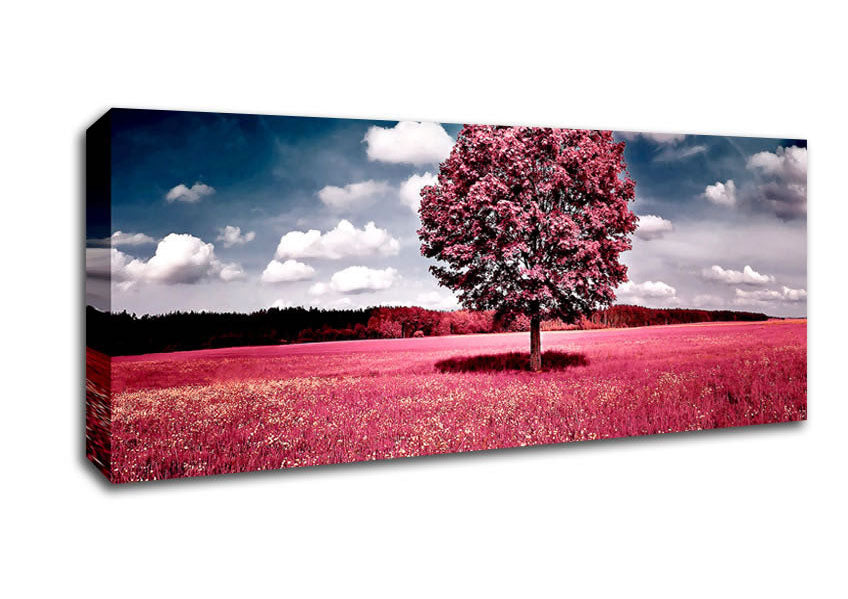 Picture of Pink Field Panoramic Canvas Wall Art