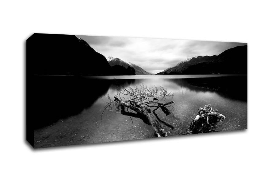 Picture of Tree In The Lake B n W Panoramic Canvas Wall Art