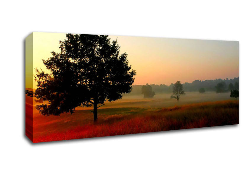 Picture of Autumn Sunrise Tree In The Mist Panoramic Canvas Wall Art