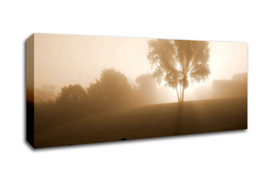 Picture of Foggy Morning Panoramic Canvas Wall Art