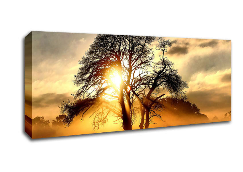 Picture of Fog Across The Field Panoramic Canvas Wall Art