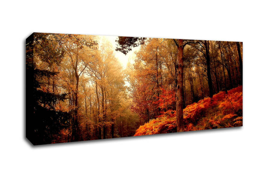 Picture of Mountain Path Panoramic Canvas Wall Art