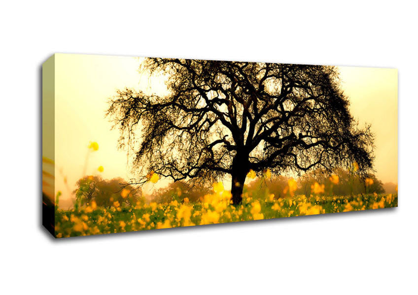 Picture of Spring Field Panoramic Canvas Wall Art