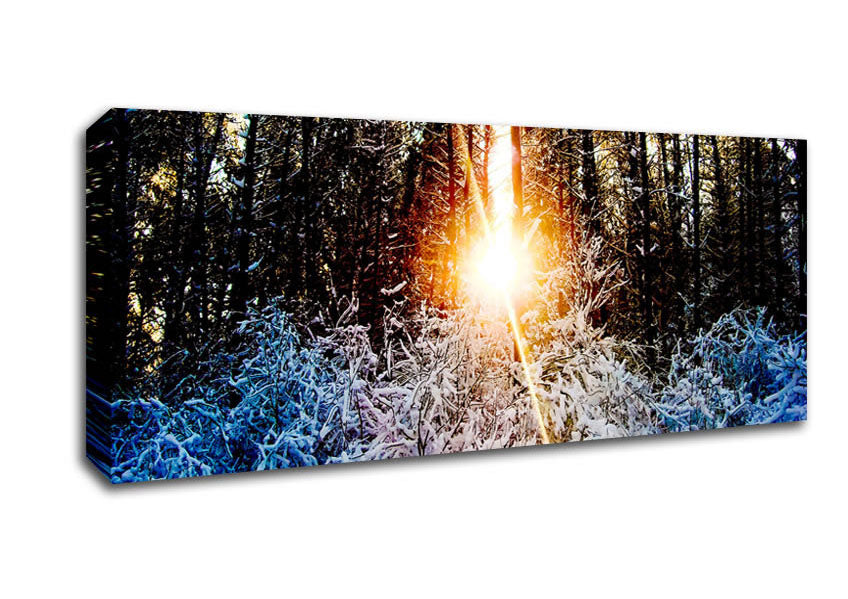 Picture of Sunlight Through Trees Winter Panoramic Canvas Wall Art