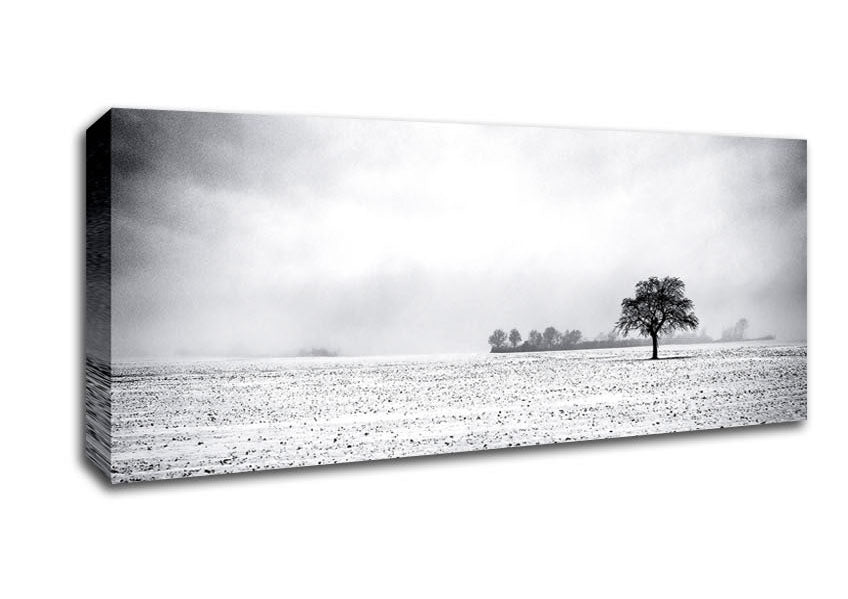 Picture of Empty Field Winter Panoramic Canvas Wall Art