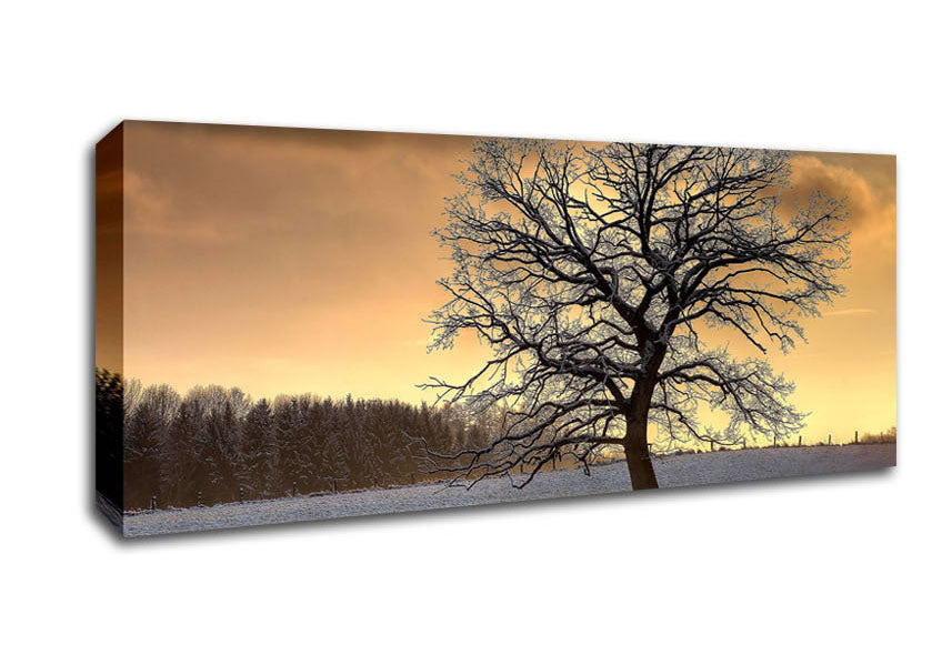 Picture of Solitary Tree Winter Panoramic Canvas Wall Art