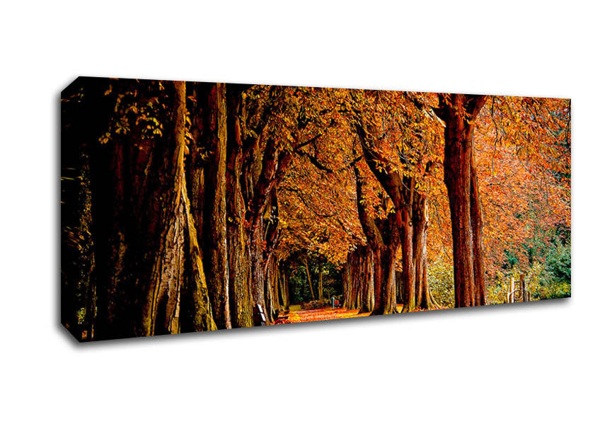 Picture of Park Autumn Panoramic Canvas Wall Art