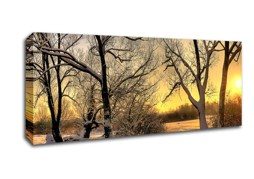 Picture of Footsteps In Snow Panoramic Canvas Wall Art