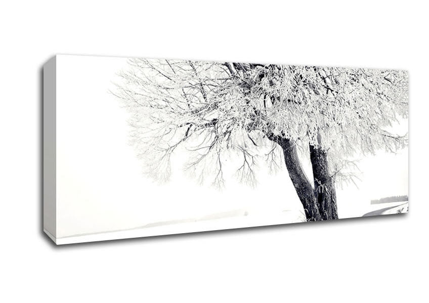 Picture of Bench Under Tree Winter Panoramic Canvas Wall Art