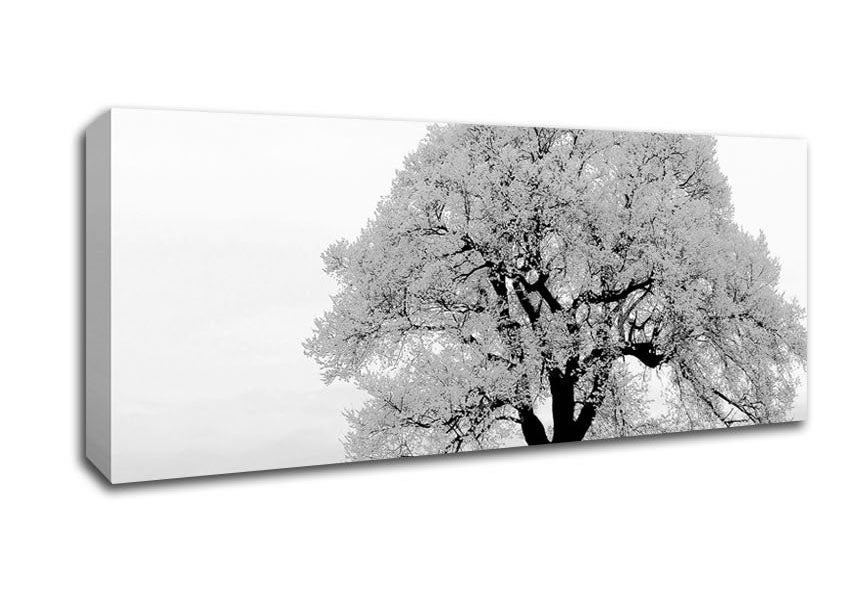 Picture of Blossomed Tree Panoramic Canvas Wall Art