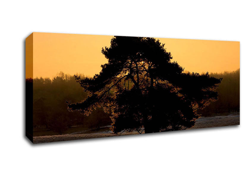 Picture of Stunning Old Tree At Dusk Panoramic Canvas Wall Art