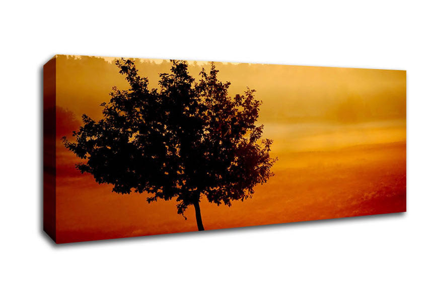 Picture of Blazing Sun Tree Panoramic Canvas Wall Art