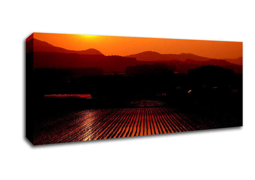 Picture of Rice Field Panoramic Canvas Wall Art