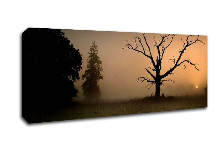 Picture of Winter Tree In The Mist Panoramic Canvas Wall Art