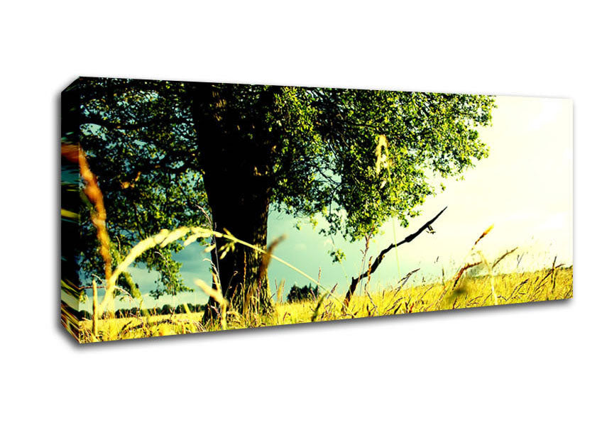 Picture of Summer Field Panoramic Canvas Wall Art