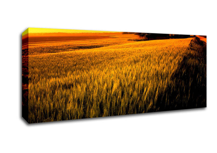 Picture of Sunset Over Wheat Field Panoramic Canvas Wall Art