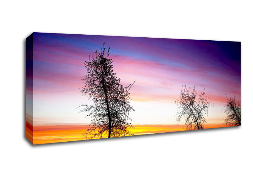 Picture of Winter Rainbow Sunrise Panoramic Canvas Wall Art