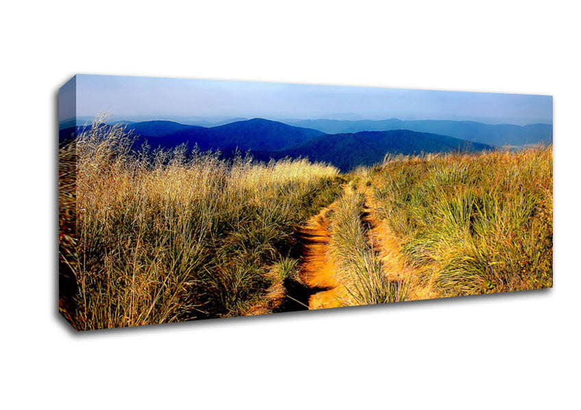 Picture of Hiking Path Panoramic Canvas Wall Art