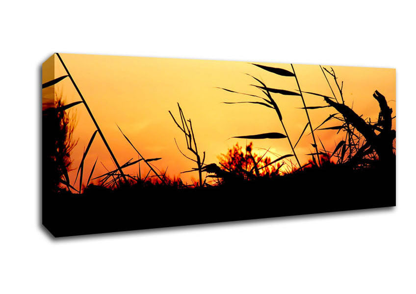 Picture of Sunset Reeds Panoramic Canvas Wall Art