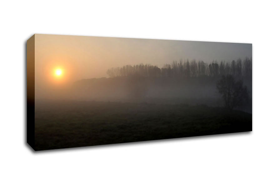 Picture of Morning Walk Panoramic Canvas Wall Art