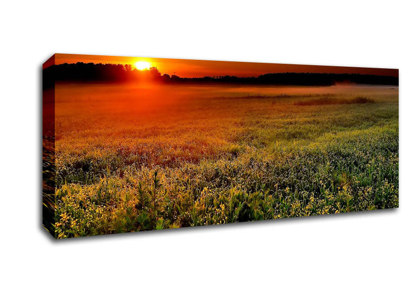 Picture of Sunset Over The Field Panoramic Canvas Wall Art