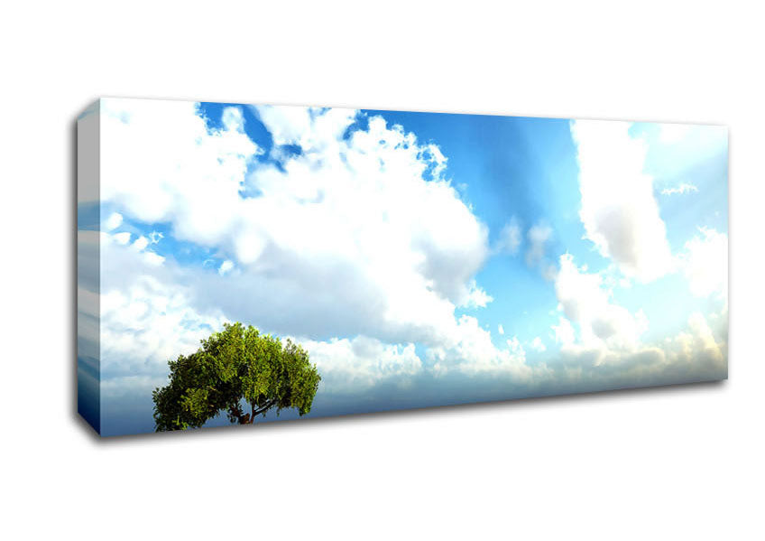 Picture of Beauty Of Nature Panoramic Canvas Wall Art