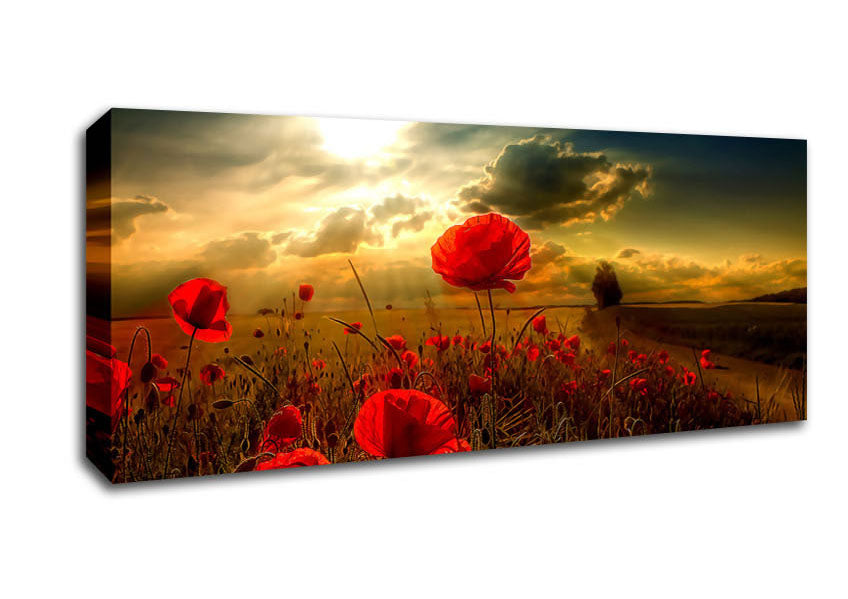 Picture of Sunlight Panoramic Canvas Wall Art