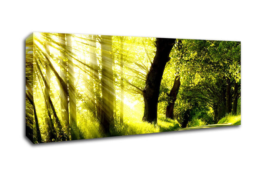 Picture of Green Nature Dual Monitor-Other Panoramic Canvas Wall Art