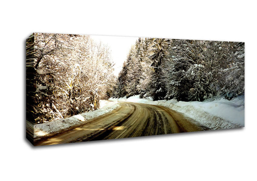 Picture of Snow Path Panoramic Canvas Wall Art