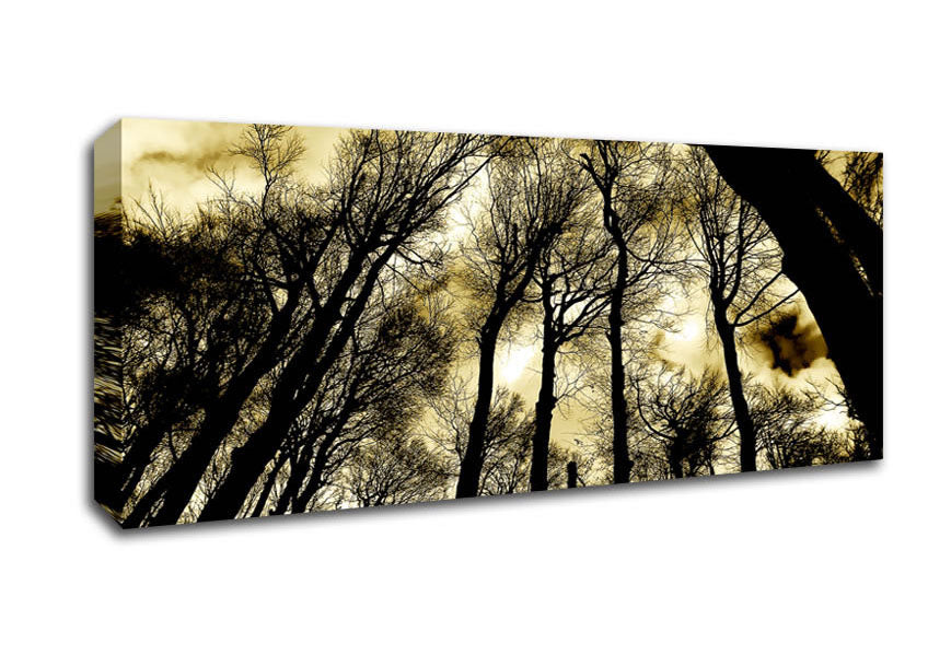 Picture of Woodland Skies Panoramic Canvas Wall Art