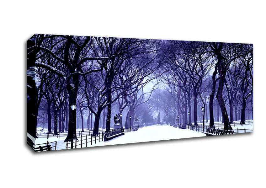 Picture of Winter Park Blue Panoramic Canvas Wall Art