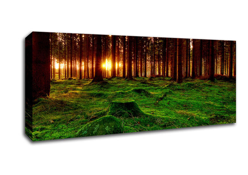 Picture of Beyond The Trees Panoramic Canvas Wall Art