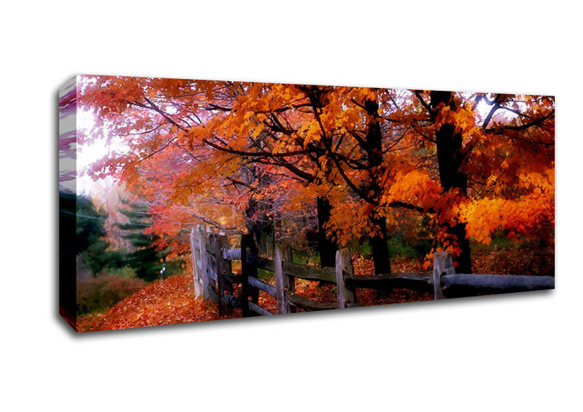 Picture of Orange Autumn Leaves Panoramic Canvas Wall Art