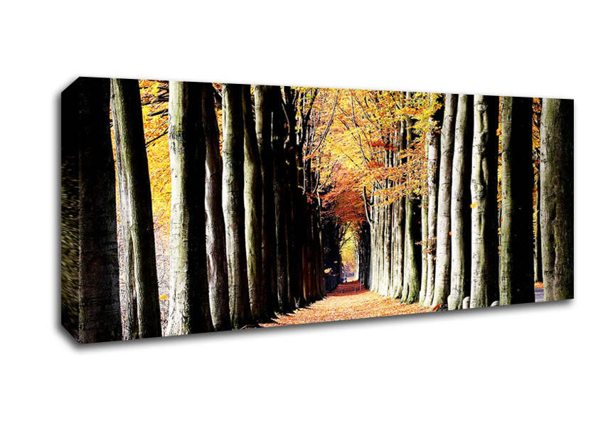 Picture of Woodland Walk Panoramic Canvas Wall Art