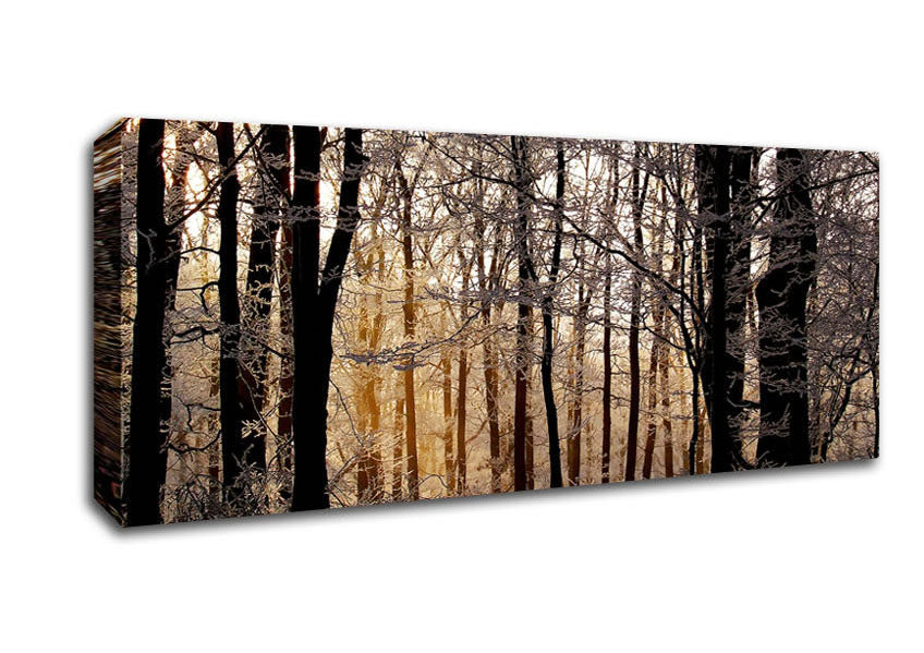 Picture of Winter Sun Through The Snowy Trees Panoramic Canvas Wall Art