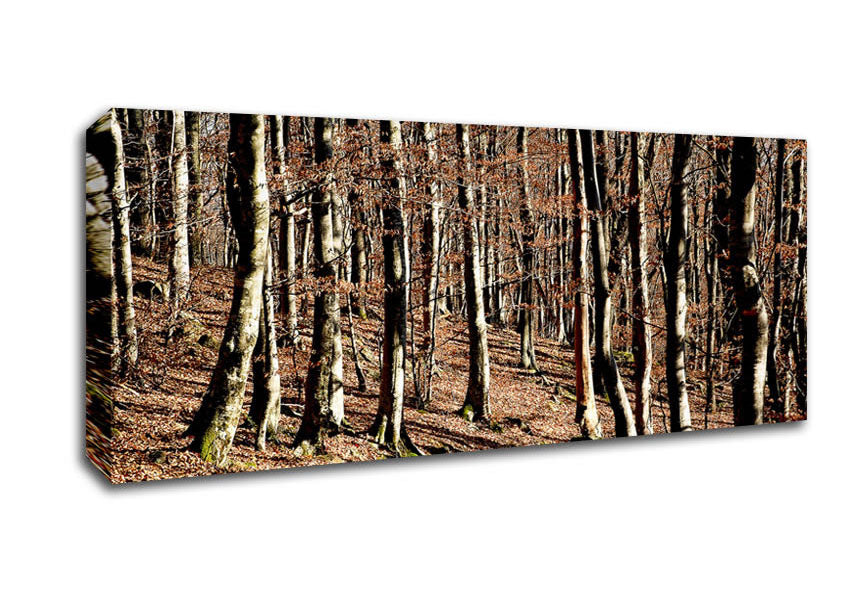 Picture of Woodland Beauty Panoramic Canvas Wall Art