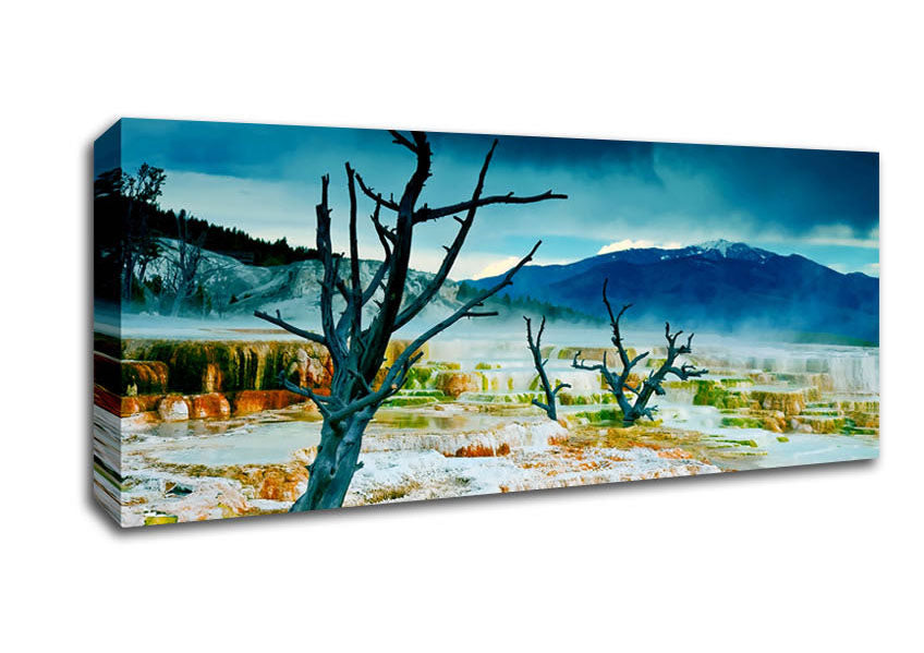 Picture of Snow Desert Trees Panoramic Canvas Wall Art