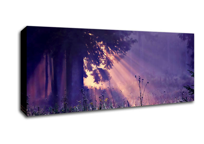 Picture of Sunray Tree Panoramic Canvas Wall Art