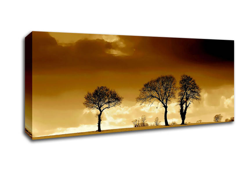 Picture of Chocolate Treeline Clouds Panoramic Canvas Wall Art