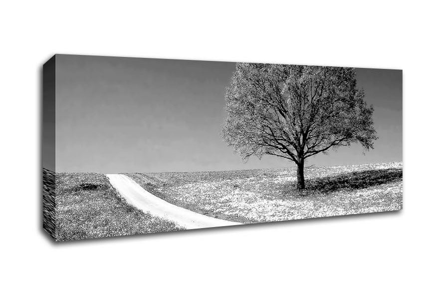 Picture of Summers Day B n W Panoramic Canvas Wall Art