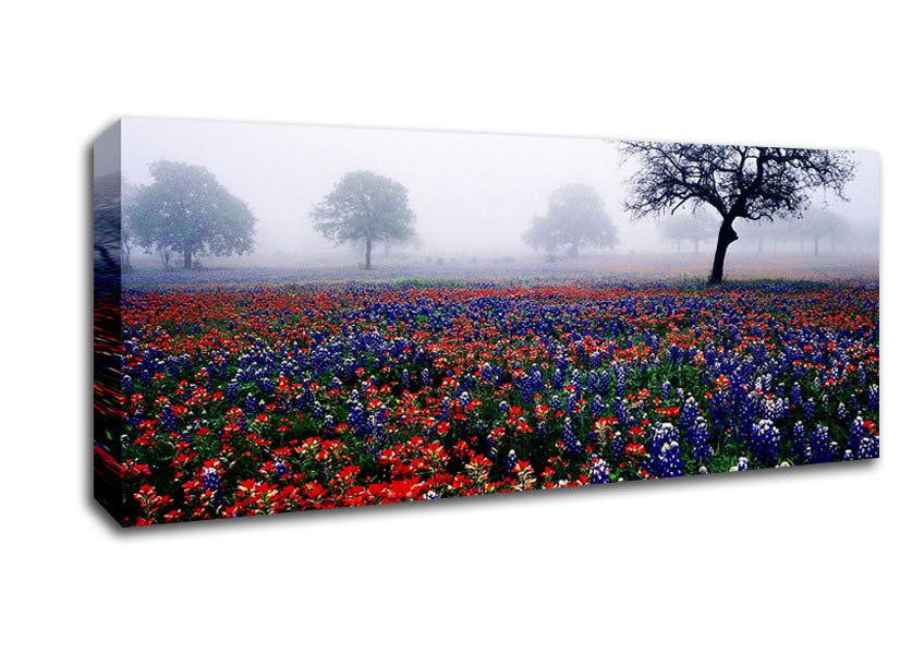 Picture of Field Of Flowers In The Morning Mist Panoramic Canvas Wall Art