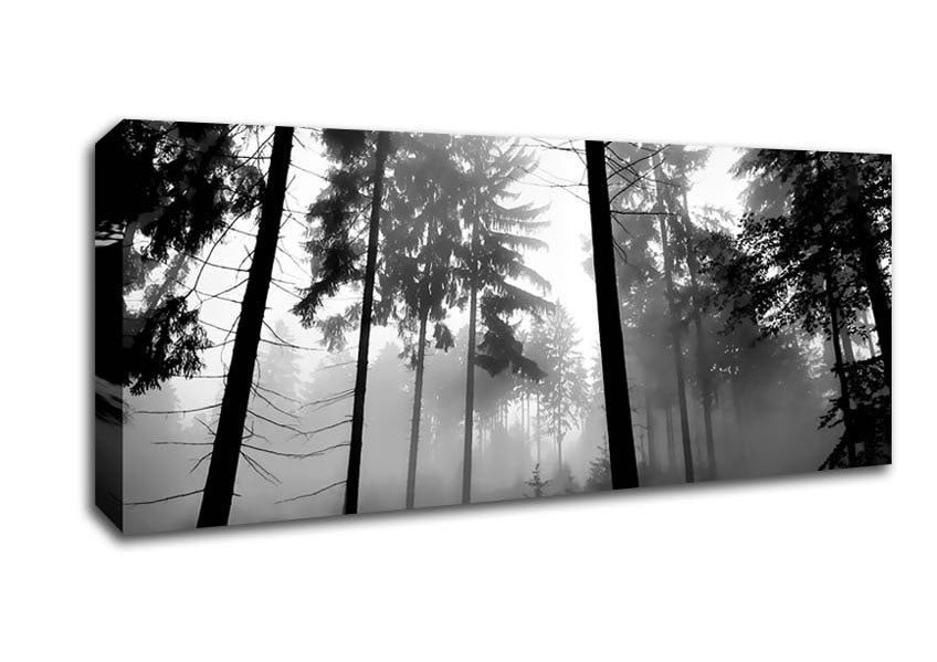 Picture of Mist Of The Woodland B n W Panoramic Canvas Wall Art