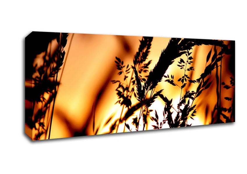 Picture of Reed Sunset Panoramic Canvas Wall Art