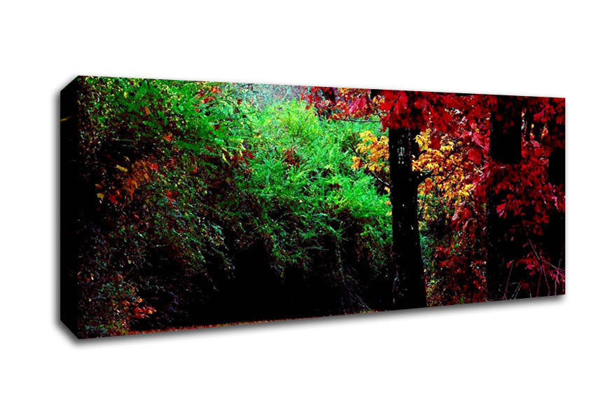 Picture of The Autumn Red Road Panoramic Canvas Wall Art