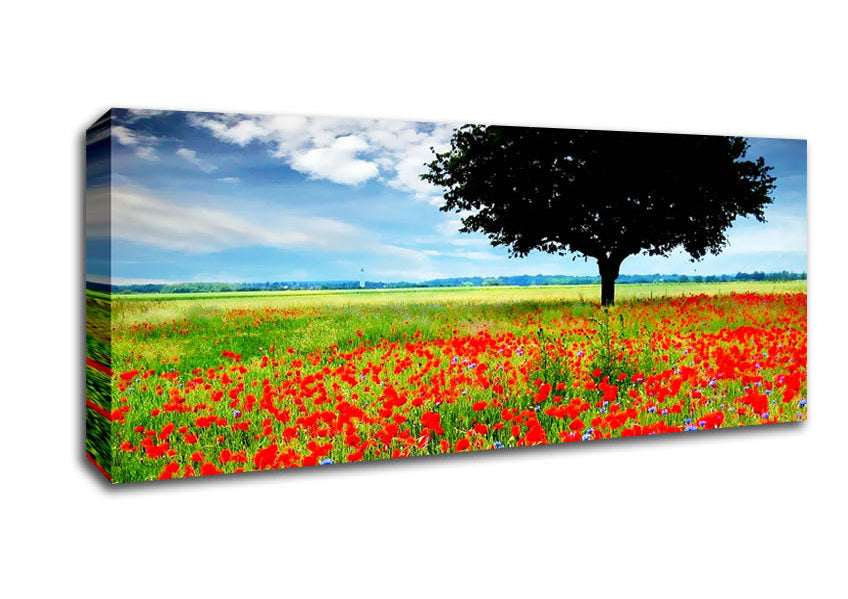 Picture of Poppy Field Tree Panoramic Canvas Wall Art